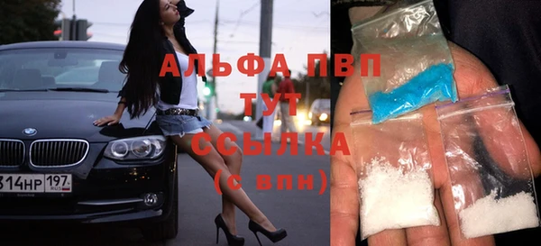прущий лед Вяземский