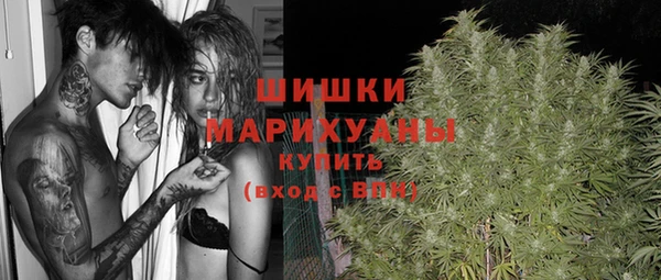 ешки Верхний Тагил