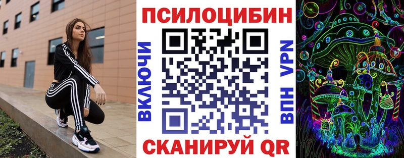 Псилоцибиновые грибы Cubensis  Елабуга 